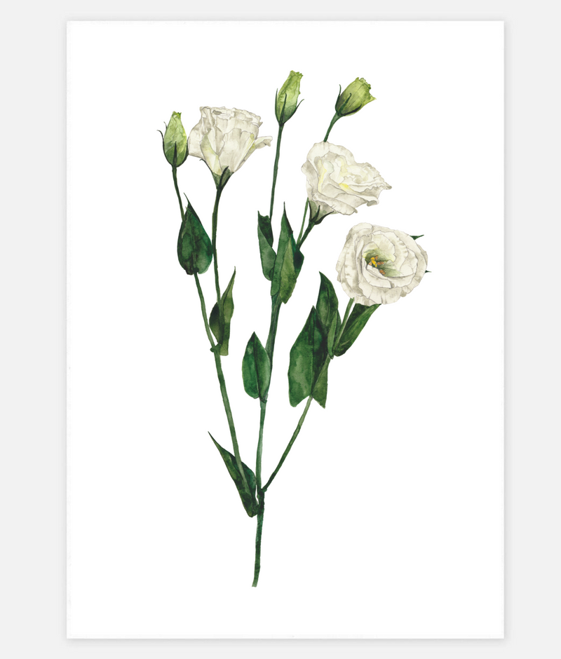 UNE PIECE-FREE GIFT - Sheryl Cole A5 Art Print